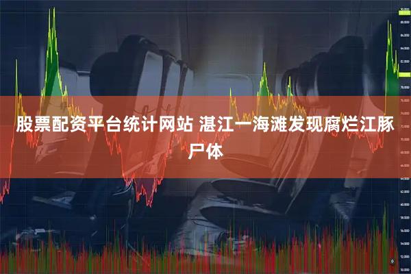 股票配资平台统计网站 湛江一海滩发现腐烂江豚尸体